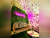 Ma-Cabane - Vente Appartement Saint-Maximin-la-Sainte-Baume, 64 m²