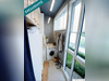 Ma-Cabane - Vente Appartement Salon-de-Provence, 61 m²