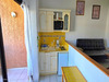 Ma-Cabane - Vente Appartement SAN NICOLAO, 50 m²