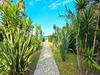 Ma-Cabane - Vente Appartement SAN NICOLAO, 40 m²