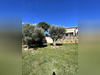 Ma-Cabane - Vente Appartement SANARY SUR MER, 98 m²