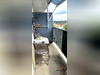 Ma-Cabane - Vente Appartement Sarreguemines, 72 m²