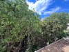 Ma-Cabane - Vente Appartement Sete, 17 m²