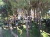 Ma-Cabane - Vente Appartement Six-Fours-les-Plages, 46 m²