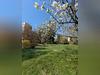 Ma-Cabane - Vente Appartement TASSIN LA DEMI LUNE, 92 m²