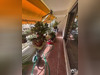 Ma-Cabane - Vente Appartement Toulon, 90 m²