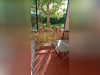 Ma-Cabane - Vente Appartement Toulouse, 55 m²