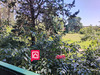 Ma-Cabane - Vente Appartement TOULOUSE, 49 m²