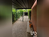 Ma-Cabane - Vente Appartement Toulouse, 144 m²