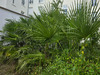 Ma-Cabane - Vente Appartement VICHY, 58 m²