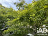 Ma-Cabane - Vente Appartement Villeneuve-la-Garenne, 22 m²