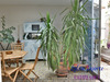 Ma-Cabane - Vente Appartement VILLENEUVE SUR LOT, 256 m²