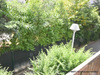 Ma-Cabane - Vente Appartement VILLEURBANNE, 70 m²