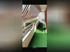 Ma-Cabane - Vente Appartement Villeurbanne, 82 m²