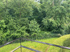 Ma-Cabane - Vente Appartement Wittenheim, 73 m²