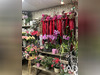 Ma-Cabane - Vente Boutique Agon-Coutainville, 100 m²