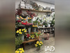 Ma-Cabane - Vente Boutique Agon-Coutainville, 100 m²