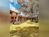 Ma-Cabane - Vente Boutique Albias, 300 m²