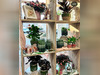 Ma-Cabane - Vente Boutique Angers, 97 m²