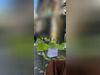 Ma-Cabane - Vente Boutique BORDEAUX, 95 m²