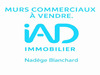 Ma-Cabane - Vente Boutique Boutenac-Touvent, 800 m²