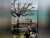 Ma-Cabane - Vente Boutique Cagnes-sur-Mer, 250 m²