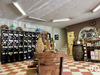 Ma-Cabane - Vente Boutique Colomars, 70 m²