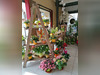 Ma-Cabane - Vente Boutique Dun-sur-Auron, 144 m²