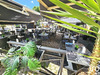 Ma-Cabane - Vente Boutique Guillestre, 65 m²