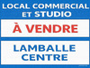 Ma-Cabane - Vente Boutique Lamballe, 80 m²