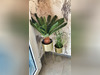 Ma-Cabane - Vente Boutique LAMENTIN, 46 m²