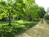Ma-Cabane - Vente Boutique LE VIGAN, 50000 m²