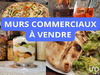 Ma-Cabane - Vente Boutique Leucate, 115 m²