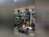 Ma-Cabane - Vente Boutique Lons-le-Saunier, 90 m²