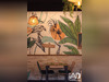 Ma-Cabane - Vente Boutique Marssac-sur-Tarn, 213 m²