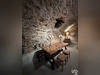 Ma-Cabane - Vente Boutique Montfort-sur-Argens, 184 m²