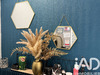 Ma-Cabane - Vente Boutique Oloron-Sainte-Marie, 50 m²