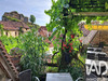 Ma-Cabane - Vente Boutique Saint-Cirq-Lapopie, 100 m²