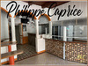 Ma-Cabane - Vente Boutique SAINT ESPRIT, 160 m²