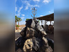Ma-Cabane - Vente Boutique Saintes-Maries-de-la-Mer, 10000 m²