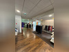 Ma-Cabane - Vente Boutique SCHILTIGHEIM, 280 m²