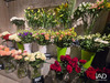 Ma-Cabane - Vente Boutique Villenave-d'Ornon, 100 m²