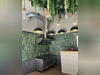 Ma-Cabane - Vente Boutique VILLEURBANNE, 25 m²