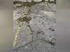 Ma-Cabane - Vente Divers ALFORTVILLE, 20 m²