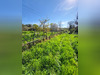 Ma-Cabane - Vente Divers CROZON, 520 m²