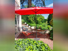 Ma-Cabane - Vente Divers DARDILLY, 230 m²