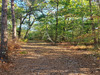 Ma-Cabane - Vente Divers LA FERTE-SAINT-AUBIN, 0 m²