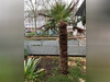 Ma-Cabane - Vente Divers LA ROCHELLE, 18 m²