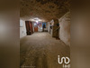 Ma-Cabane - Vente Divers Langeais, 100 m²