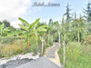 Ma-Cabane - Vente Divers LE TEMPLE SUR LOT, 143 m²